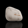 AirPods Ostrich Ivory